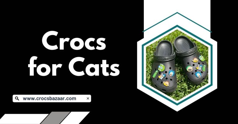 Crocs for Cats